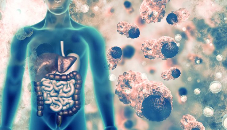 Supports Detoxification